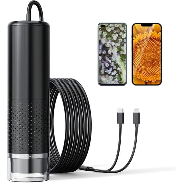 Digitales Usb-mikroskop, 50- Bis 1600-fache Vergrößerung, Tragbares Endoskop Mit 8 Leds Für Android (usb-c), Iphone Und Ipad