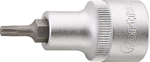 FP - Schraubend.Eins. 1/2' T20x 55mm fortis
