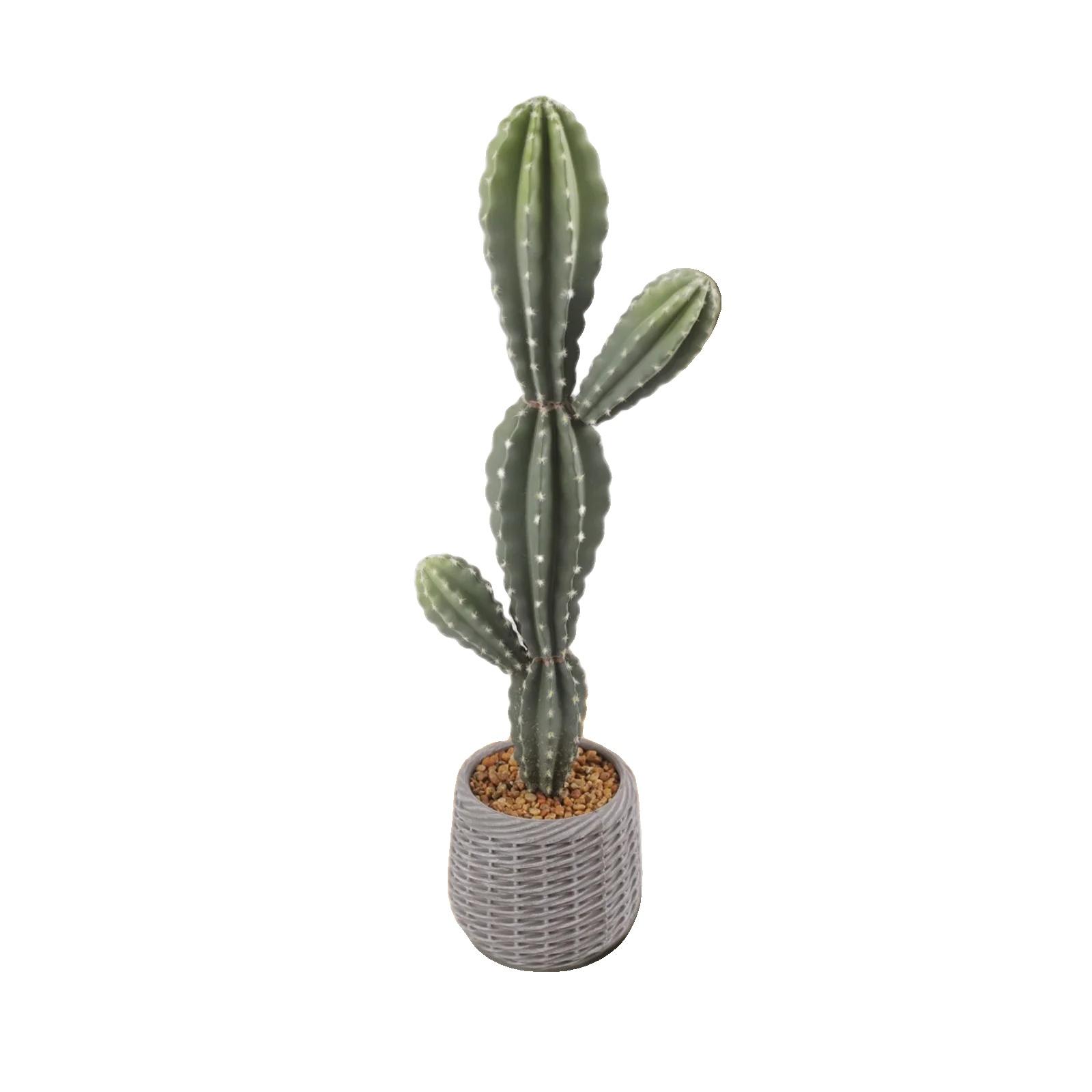 Künstlicher Kaktus, Maße 30 X 20 X 88 Cm, Eva-material, Bonsai-stil, Für Die Bodenaufstellung, Innendekoration