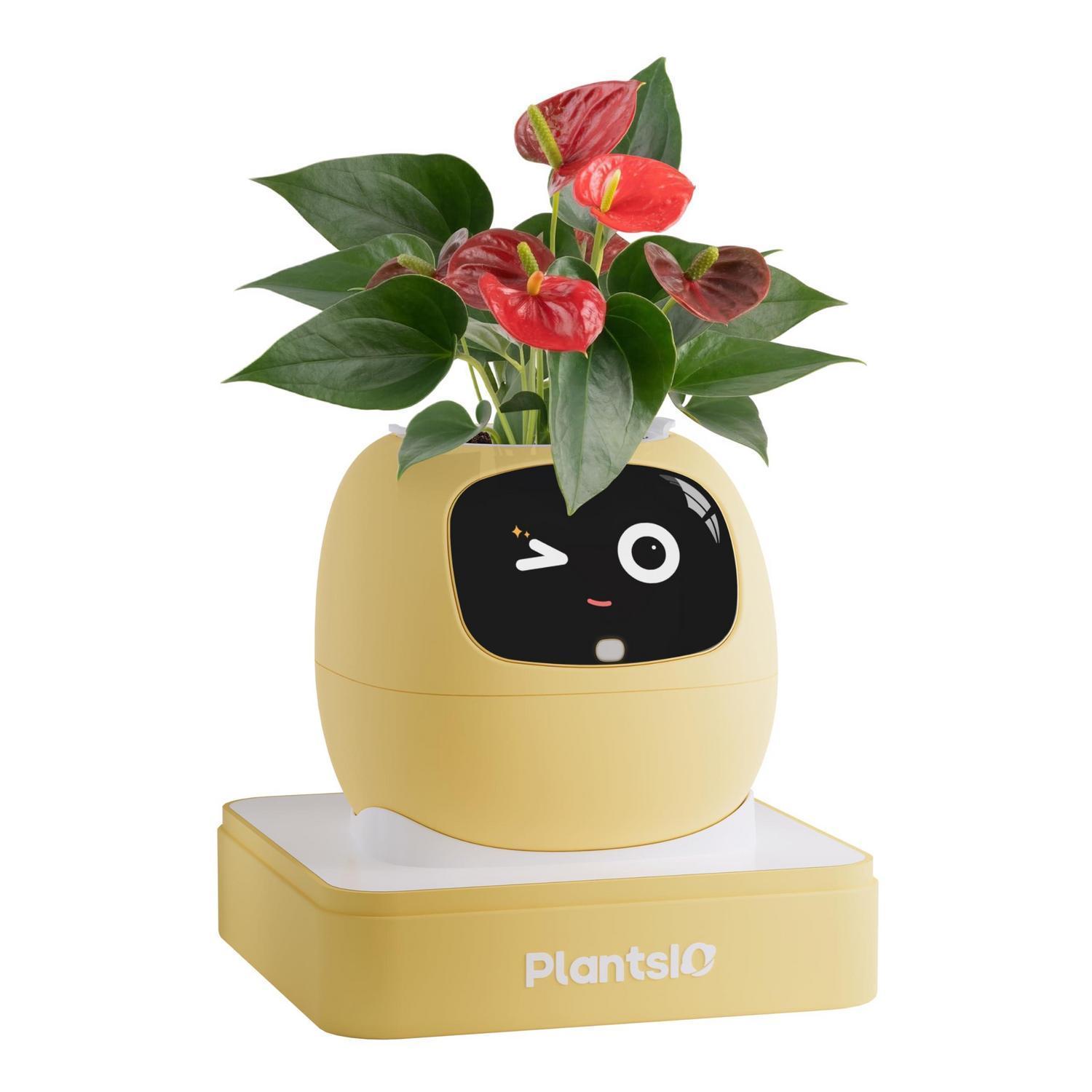 Intelligenter Blumentopf Mit Automatischer Bewässerung Und App-steuerung, Gelb