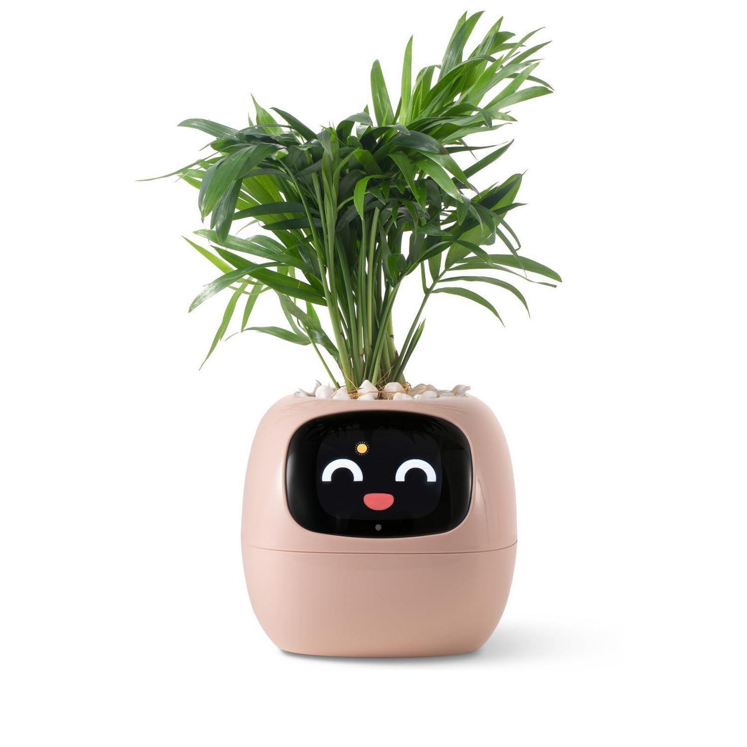 Intelligenter Blumentopf Mit Bewässerungssystem Und Display, Pink