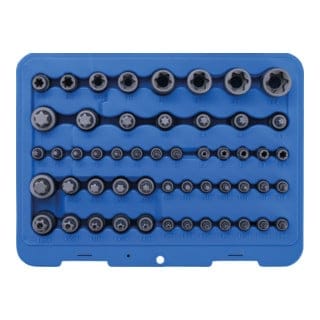 Bit-Einsatz- und Steckschlüssel-Einsatz-Satz E-Profil / T-Profil (für Torx) / T-Profil (für Torx) mit Bohrung / TP-Profil (für Torx Plus) 52-tlg.