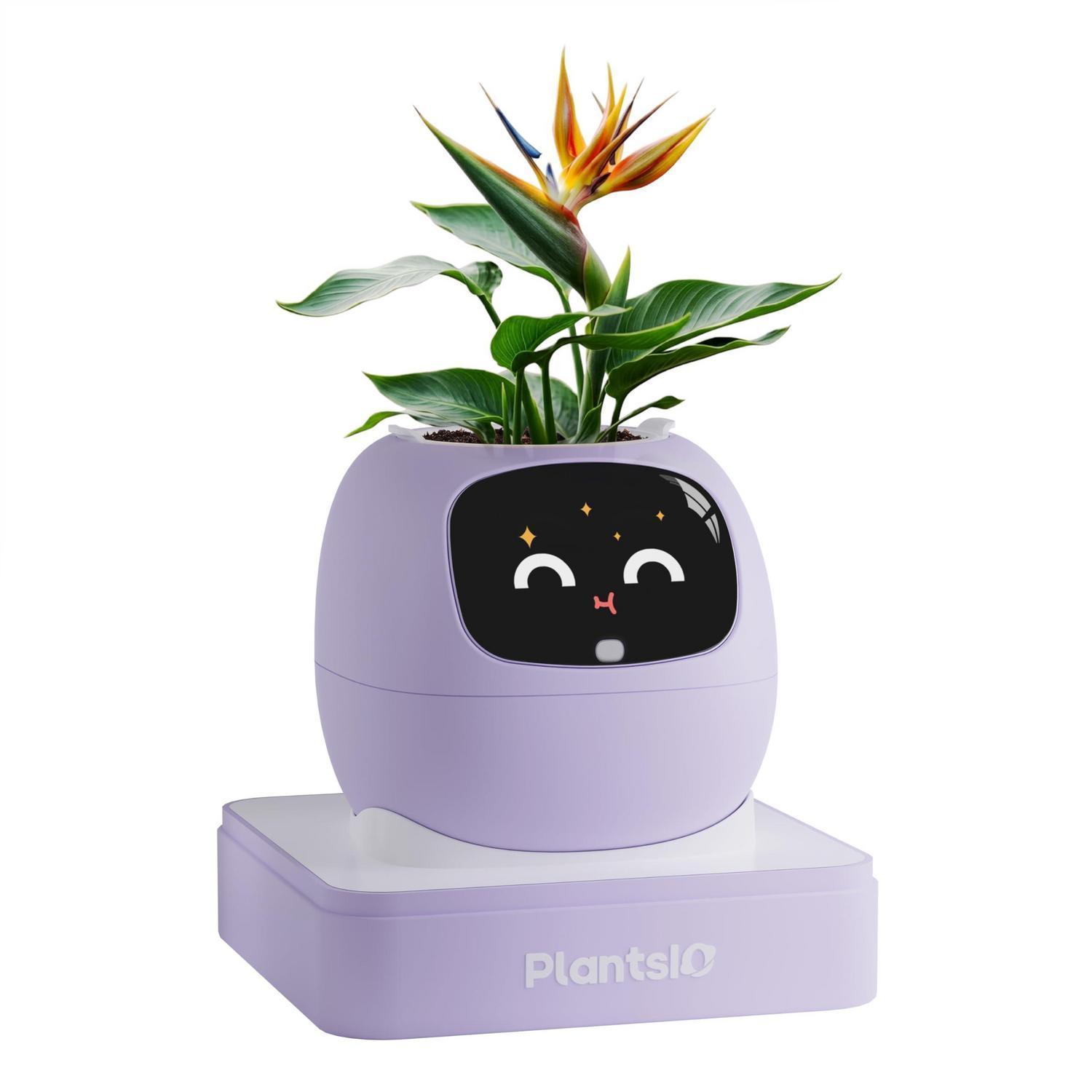 Intelligenter Blumentopf Mit Automatischer Bewässerung Und App-steuerung, Violett