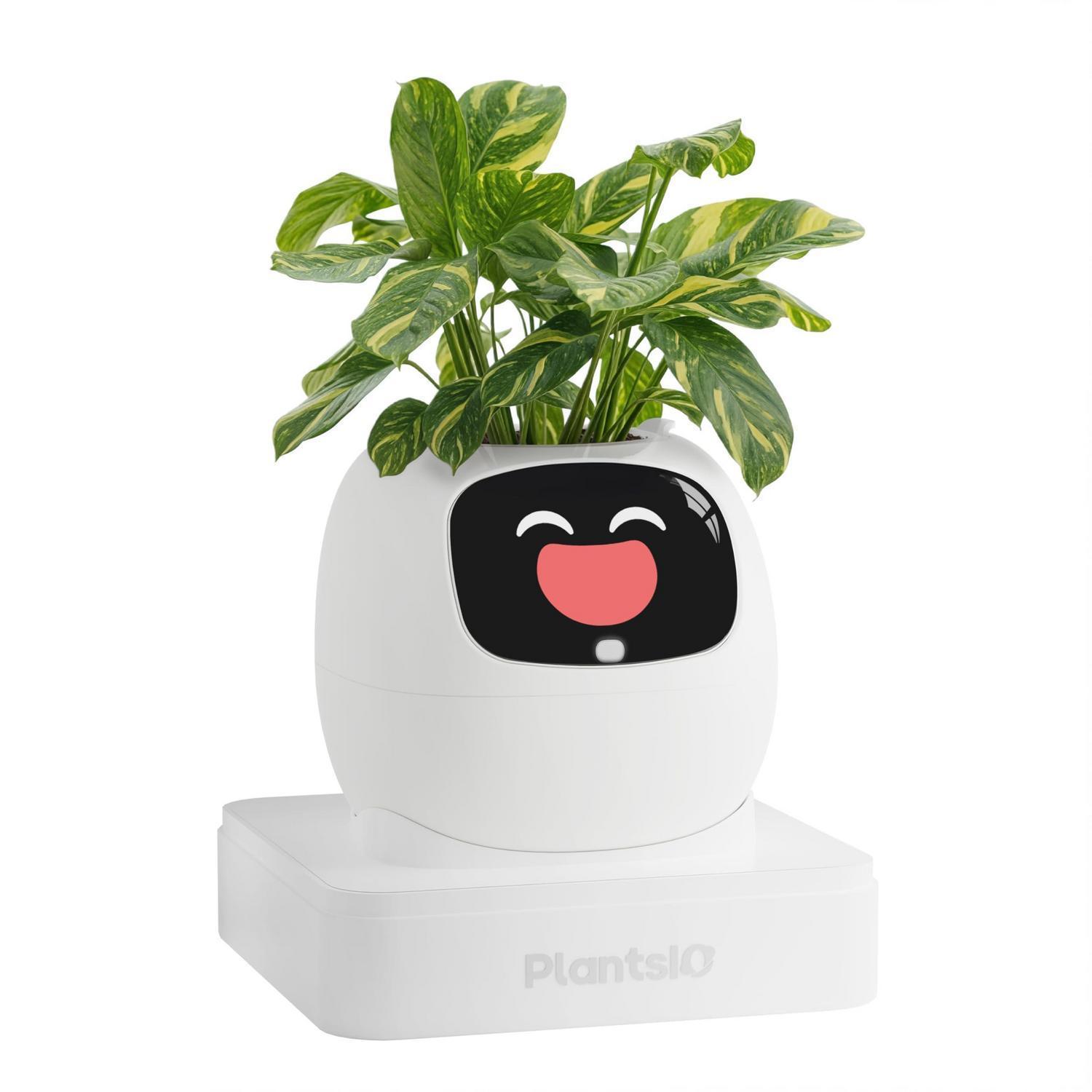 Intelligenter Blumentopf Mit Automatischer Bewässerung Und App-steuerung, Elfenbein