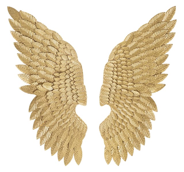 Beauty Wings Panel Pair Cm 37.5x3x100