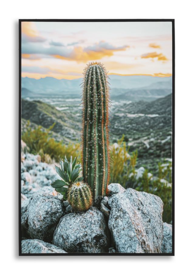 Druck Auf Lackierter Leinwand Mit Kaktusrahmen -a- Cm 60x4x90