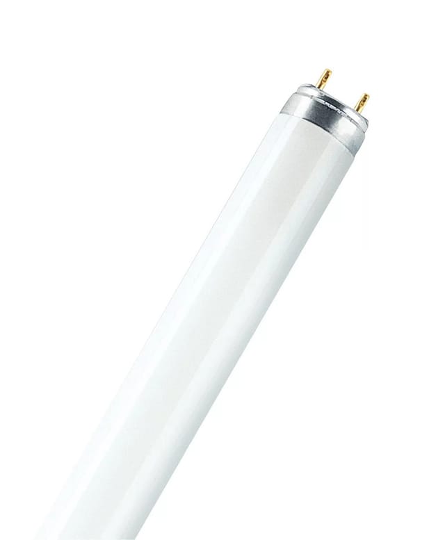 Osram - homelighting Leuchtstoffröhre eek: g (a - g) G13 18 w Warmweiß Röhrenform (ø x l) 26 mm x 604