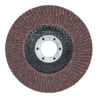 Fächer-Schleif-Scheibe ø 115 mm k 80