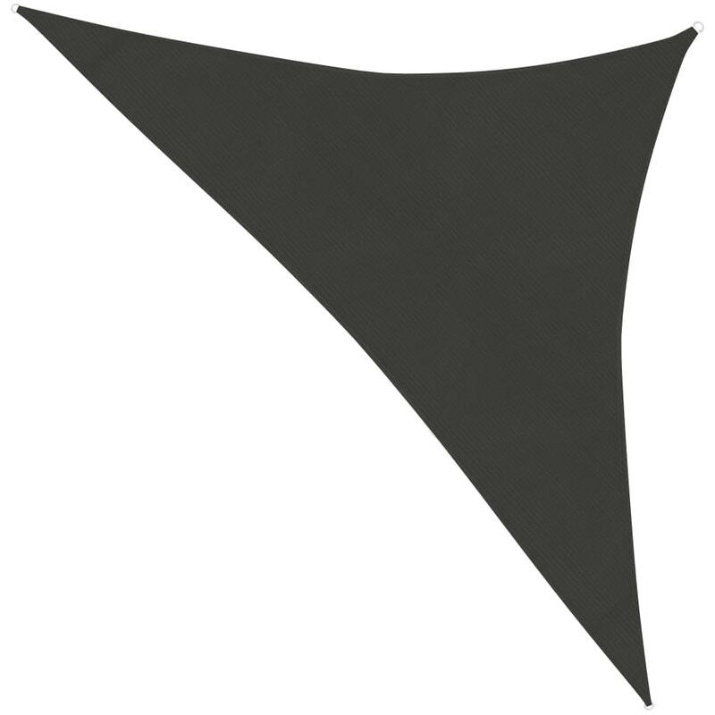 Sonnensegel – Sonnenschutzgewebe – Sonnenschirmsegel 160 G/m² Anthrazit 2,5 X 2,5 X 3,5 M Hdpe Chic-641669