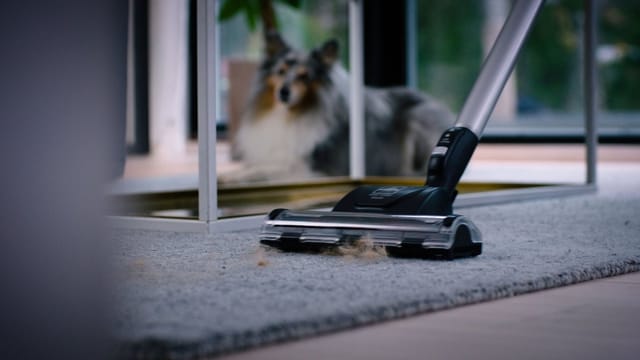SEB - Ersatzteil - Maxi-Turbobürste - - tefal, obh nordica, rowenta