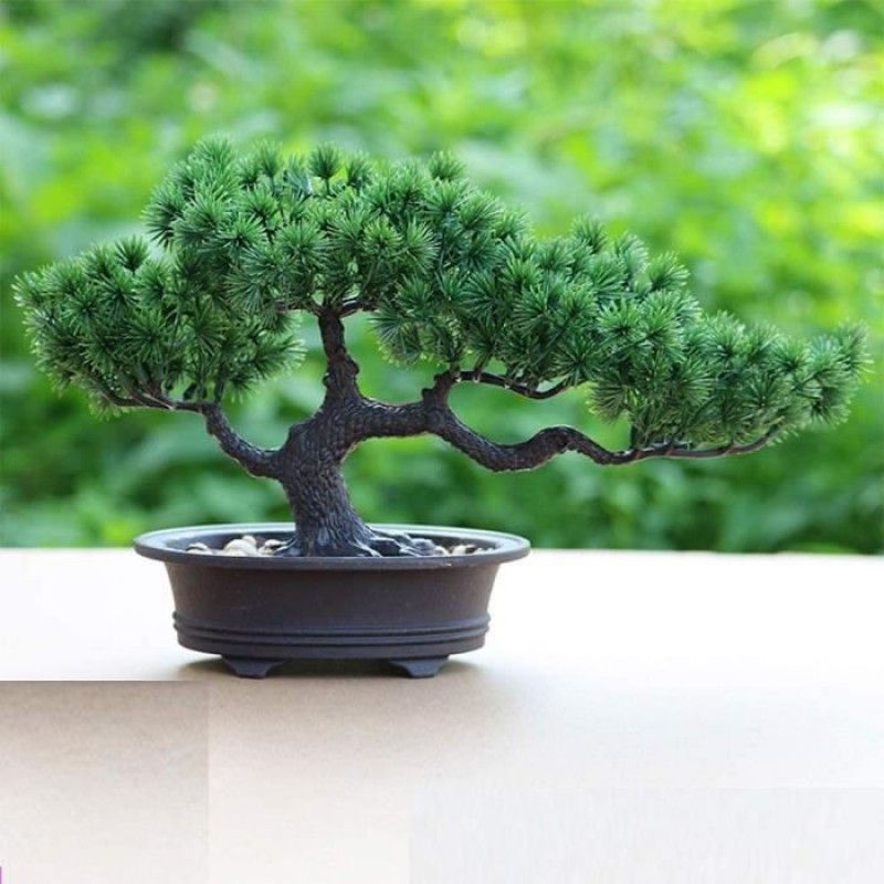 Künstlicher Bonsai-baum, Künstliche Pflanze Im Topf, Künstliche Zimmerpflanze, Japanische Kiefer, Bonsai-pflanze Zur Dekoration