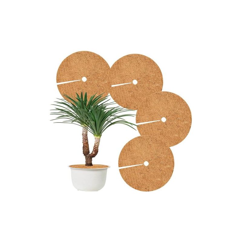 Taishengda-kokosnuss-pflanzenschutzmatte, 4er-set. Kokosnuss-schutzscheibe, Winterschutz Für Hotelgärten (40 Cm).
