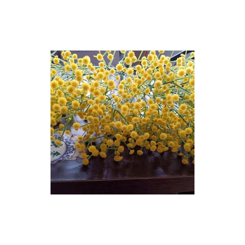 Taishengda – 10 Künstliche Schleierkrautblüten, Lockerer Gypsophila-strauß In Weiß Für Hochzeitskränze, Heimpartys, Gartendekoration, Gelb