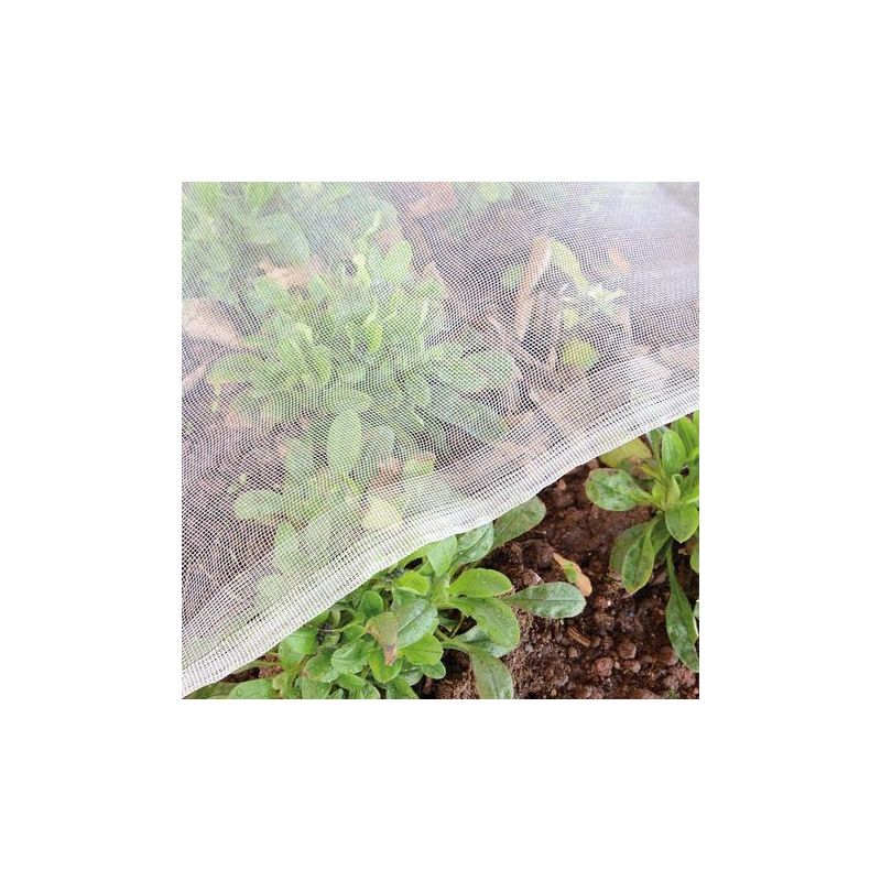Taishengda-garteninsektennetz Für Gemüsegärten: 1,2 X 5 M Feinmaschengewebe, Schutz Für Lauch, Obstbäume Und Andere Gartenpflanzen, Weiße Pflanzenabdeckung