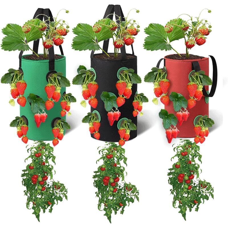 Lot De 3 Sacs De Culture Suspendus 20x35cm – Tissus Non Tissés Avec 12 Poches Respirantes – Pour Fraises, Herbes, Fleurs, Légumes - 20cm35cm