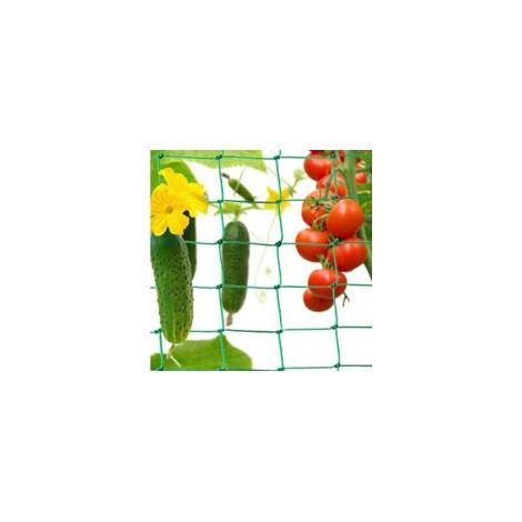 Kletterpflanzennetze Und Schutznetze Für Gurken, Tomaten Und Andere Pflanzen Gemüsebögen Kletterpflanzennetze