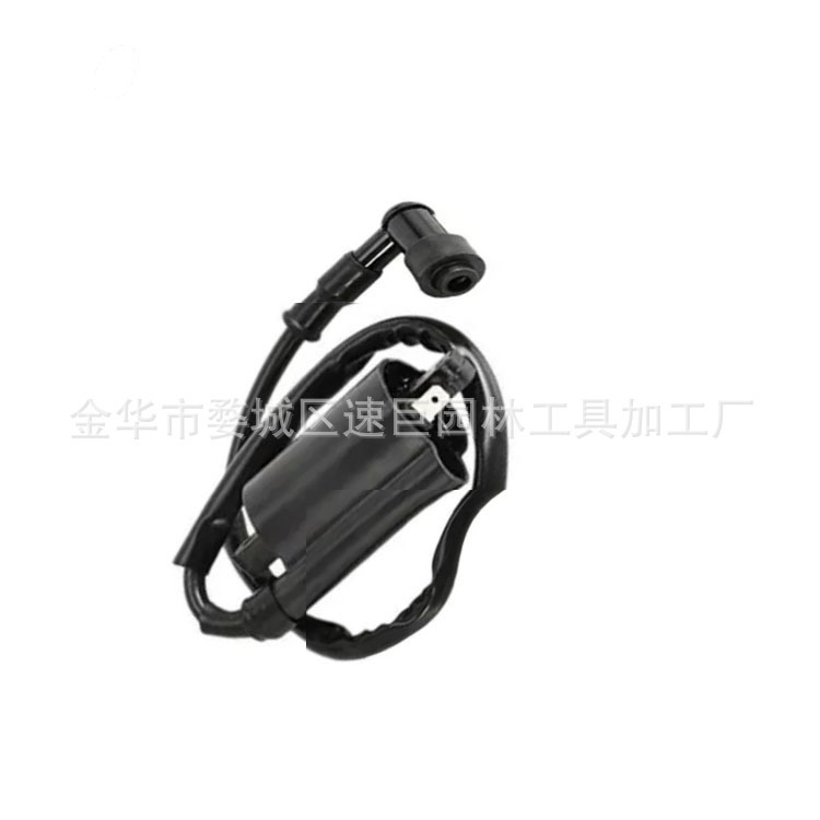 Hochspannungstransformator Gs125 Gn125 Vx250 1100 Xv1100 Xv-1100 1995-2007