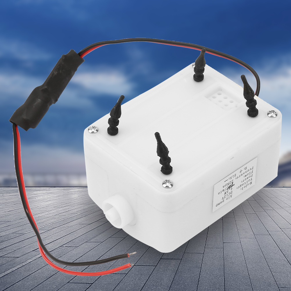 Elektrische Luftpumpe (12 V Dc, 4,5 W, 22 Kpa, 7,5 L/min) Für Ozongenerator