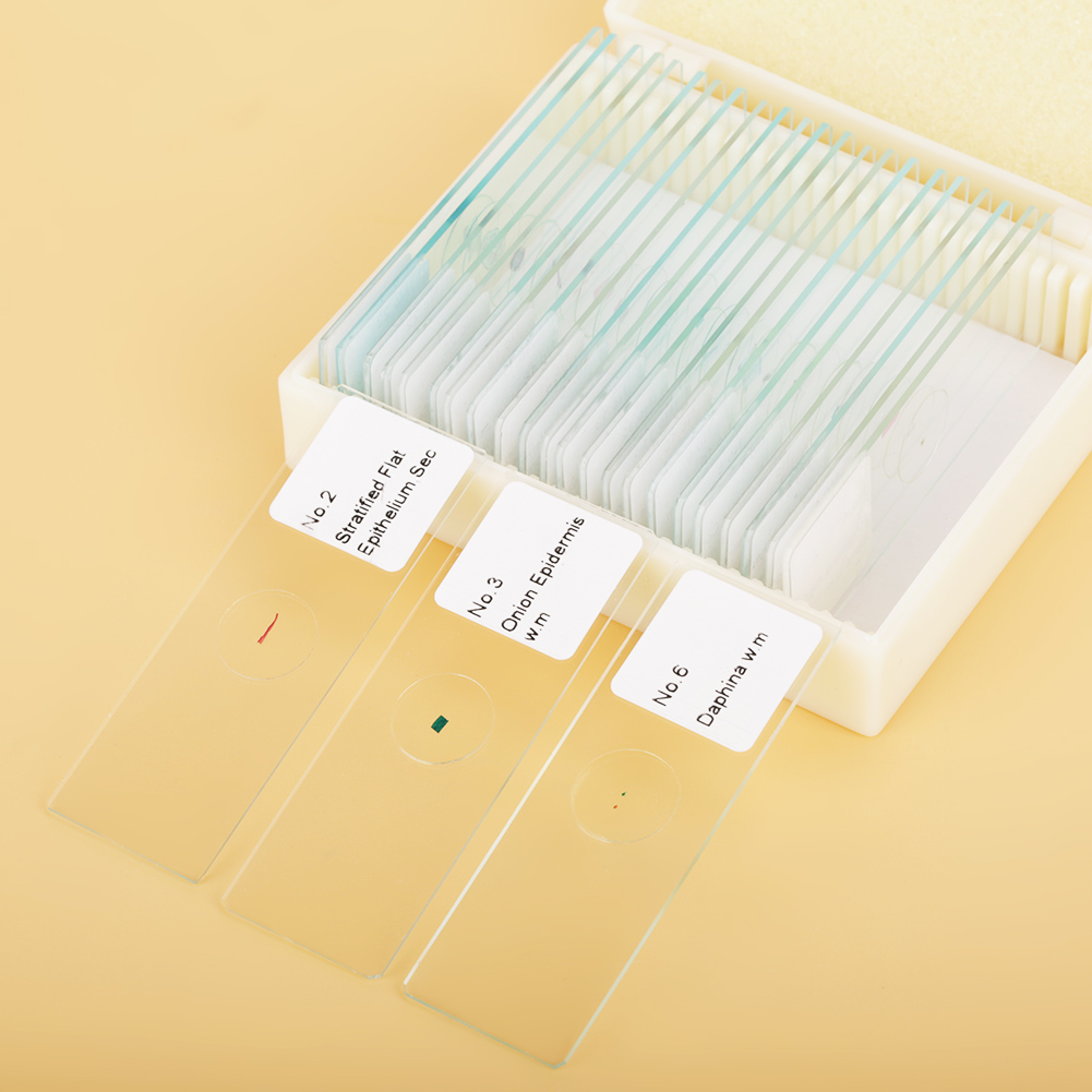 25 Biologische Mikroskopie-objektträger (gläser) Mit Box