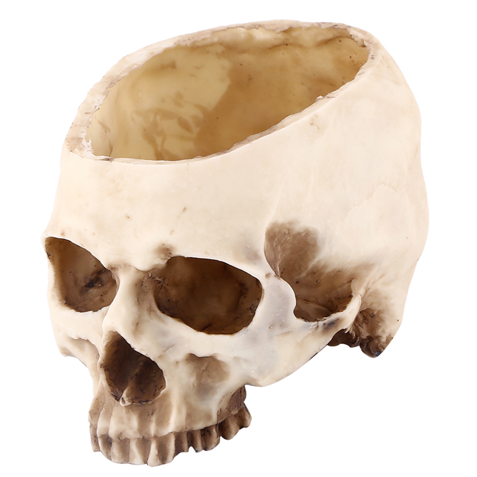 1 Stück Blumentopf/pflanzgefäß/dekoration Mit Totenkopfmuster, Aus Kunstharz