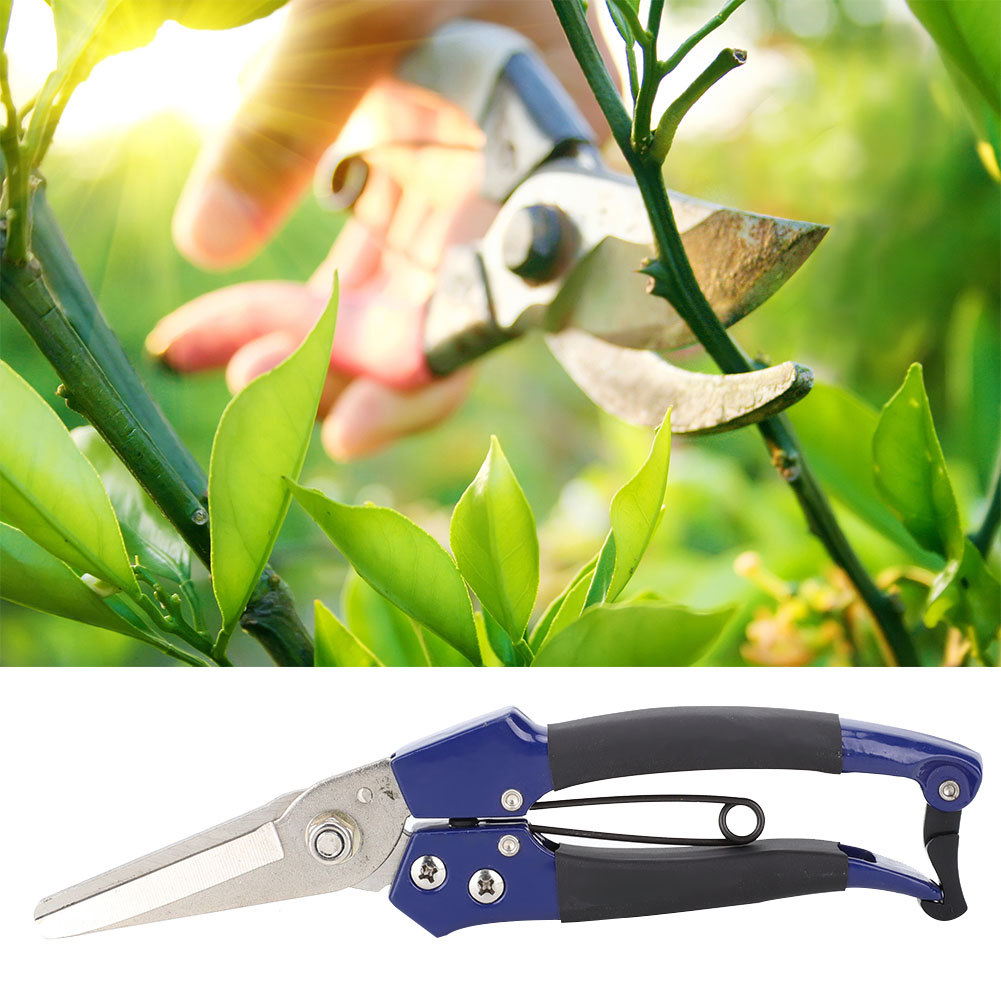 8-zoll-obstpflücker, Gartenschere, Astschere, Trimmer