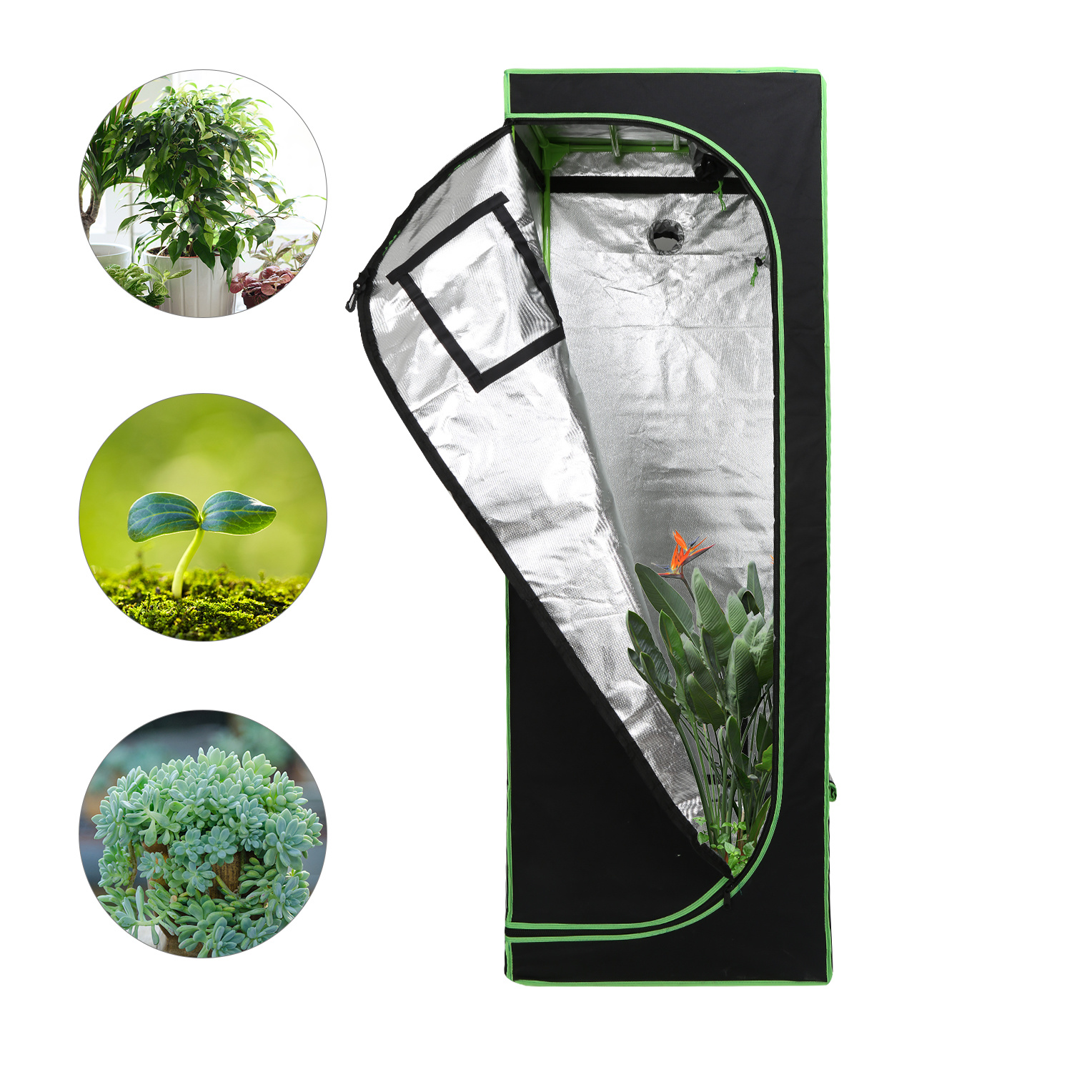 Tolletour Growbox 60 X 60 X 180 Cm, Indoor Pflanzenzelt Aus 600d Oxford, Lichtdicht Und Reflektierend, Mit Sichtfenster Und Belüftung