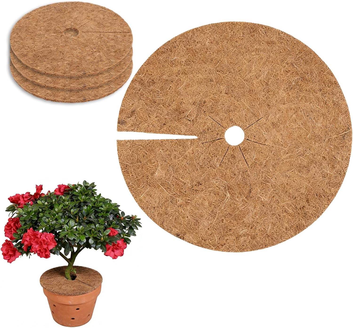 Kokosmatten Mit Deckel, Aus Biologisch Abbaubarer Kokosfaser, Zum Schutz Der Wurzeln Und Zur Unkrautbekämpfung, Ideal Für Topfpflanzen Im Winter (20 Cm)