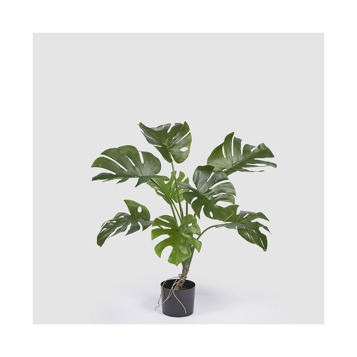 Edg Enzo De Gasperi Monstera Kunstpflanze Mit Topf H100 Cm