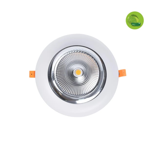 Barcelona Led - LED-Downlight speziell für Gemüseläden - 40W - Philips Treiber -