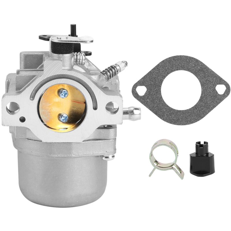 Sjlerst Briggs & Stratton 799728 12 Ps 12,5 Ps Vergaser