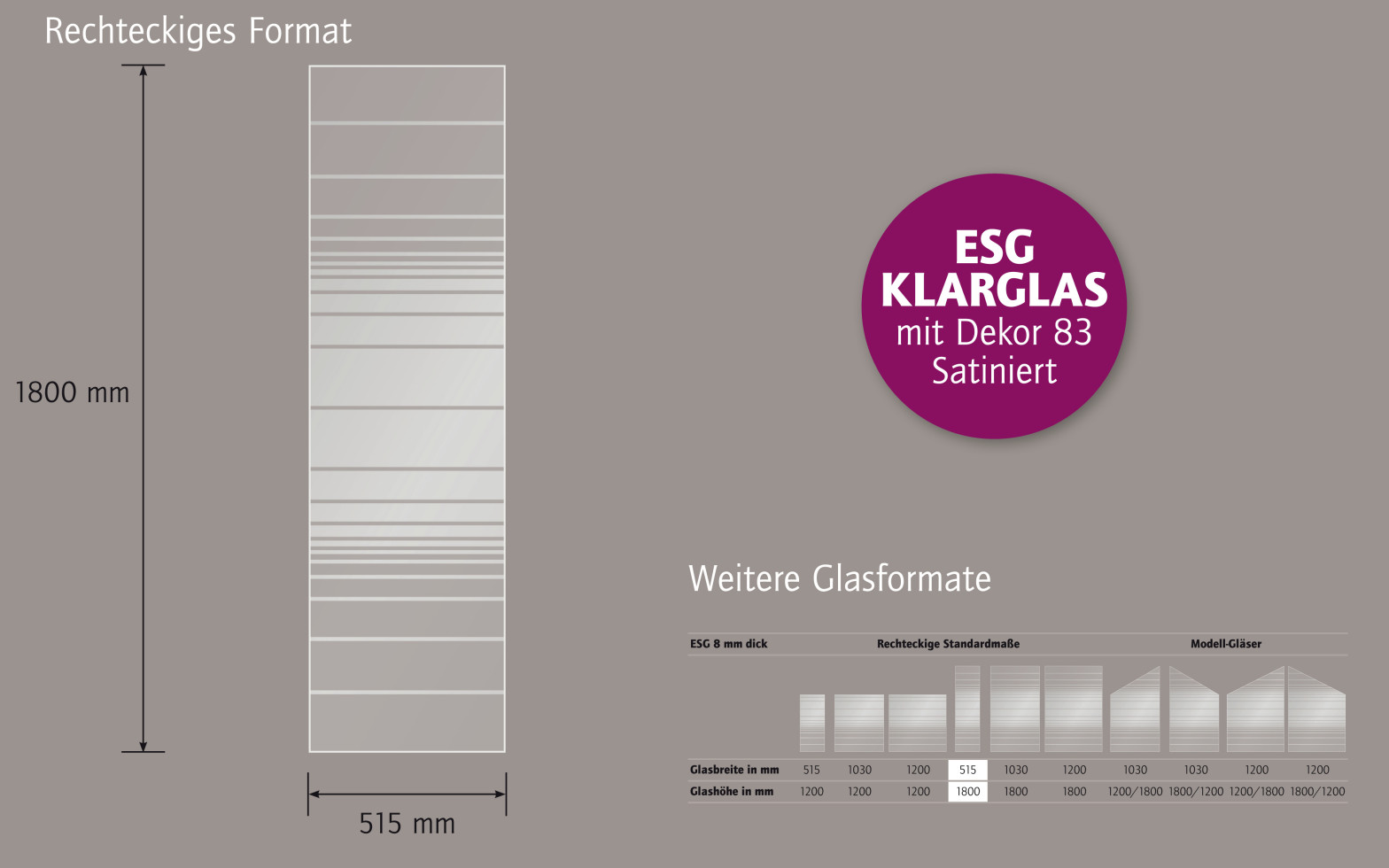 Ambiente Glaszaun Dekor 83 51,5 x 180 cm gehärtetes 8 mm Glas