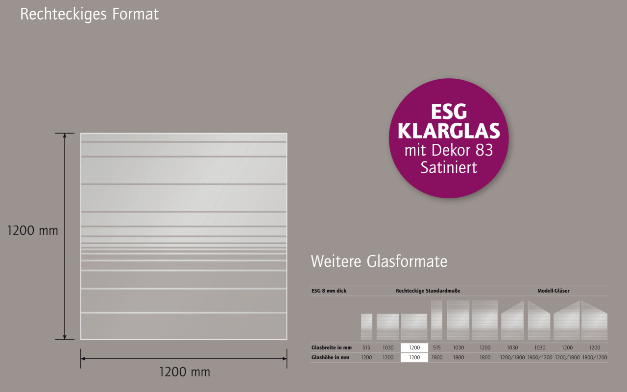 Ambiente Glaszaun Dekor 83 120 x 120 cm gehärtetes 8 mm Glas