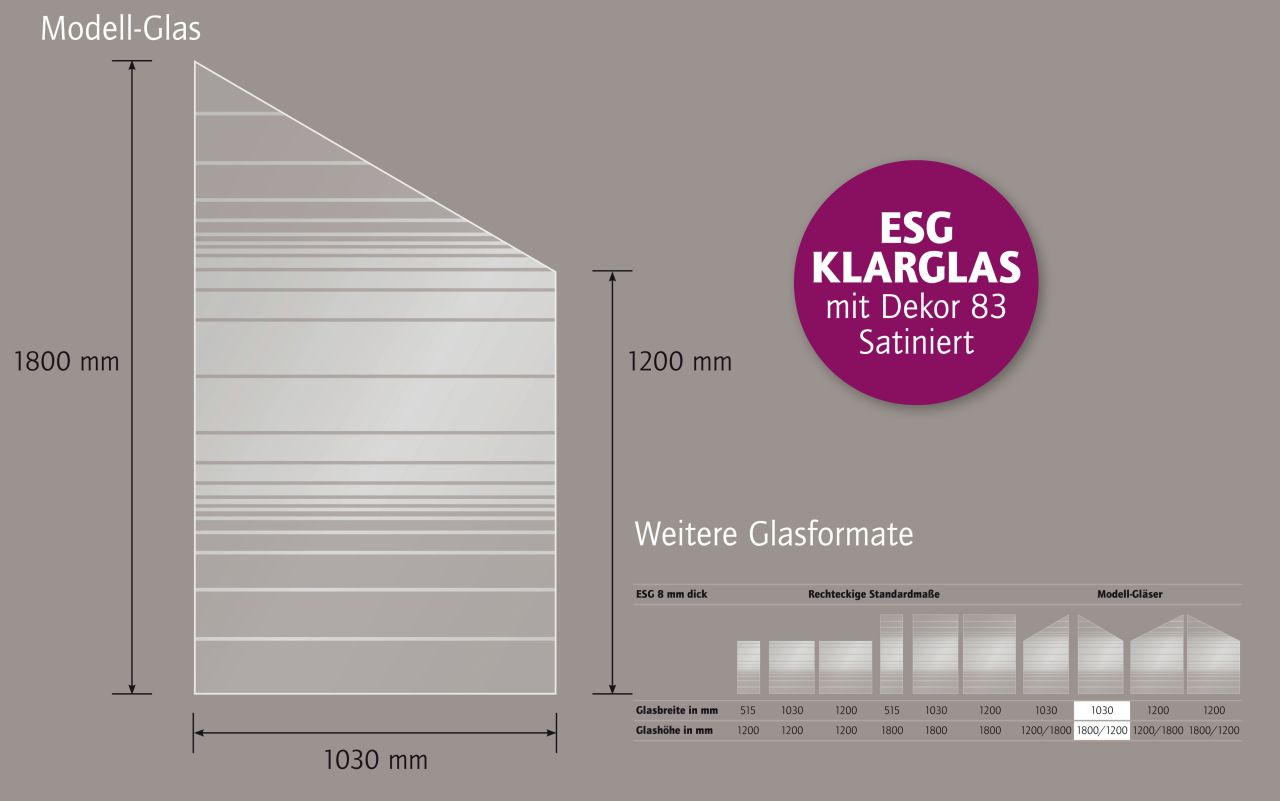 Ambiente Glaszaun Dekor 83 schräg 103 x 180/120 cm gehärtetes 8 mm Glas Bild 2