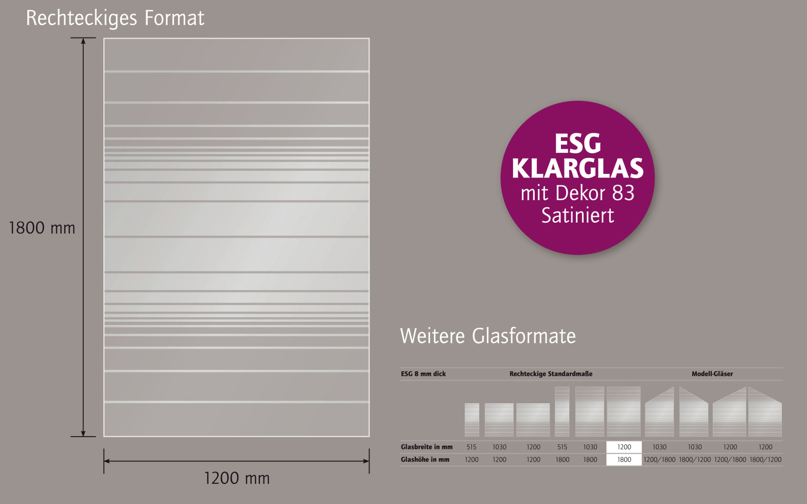 Ambiente Glaszaun Dekor 83 120 x 180 cm gehärtetes 8 mm Glas Bild 5