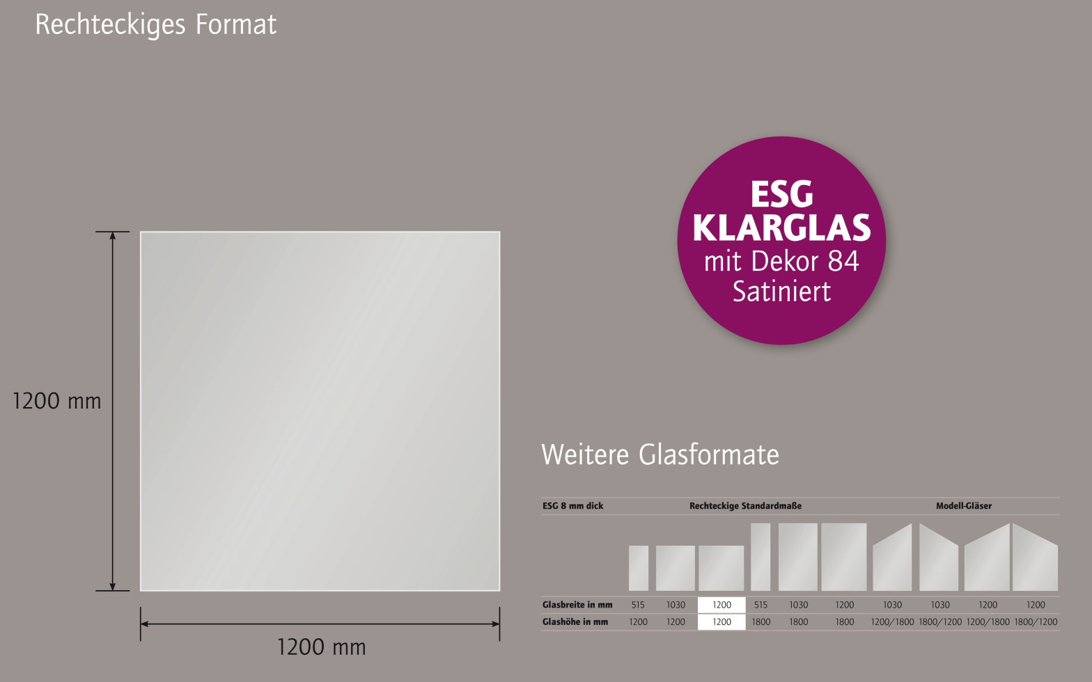 Ambiente Glaszaun Dekor 84 120 x 120 cm gehärtetes 8 mm Glas Bild 3