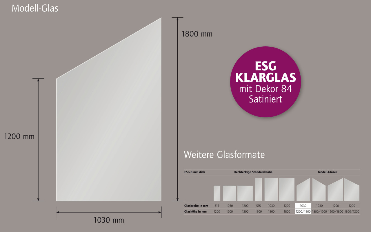 Ambiente Glaszaun Dekor 84 schräg 103 x 120/180 cm gehärtetes 8 mm Glas Bild 4