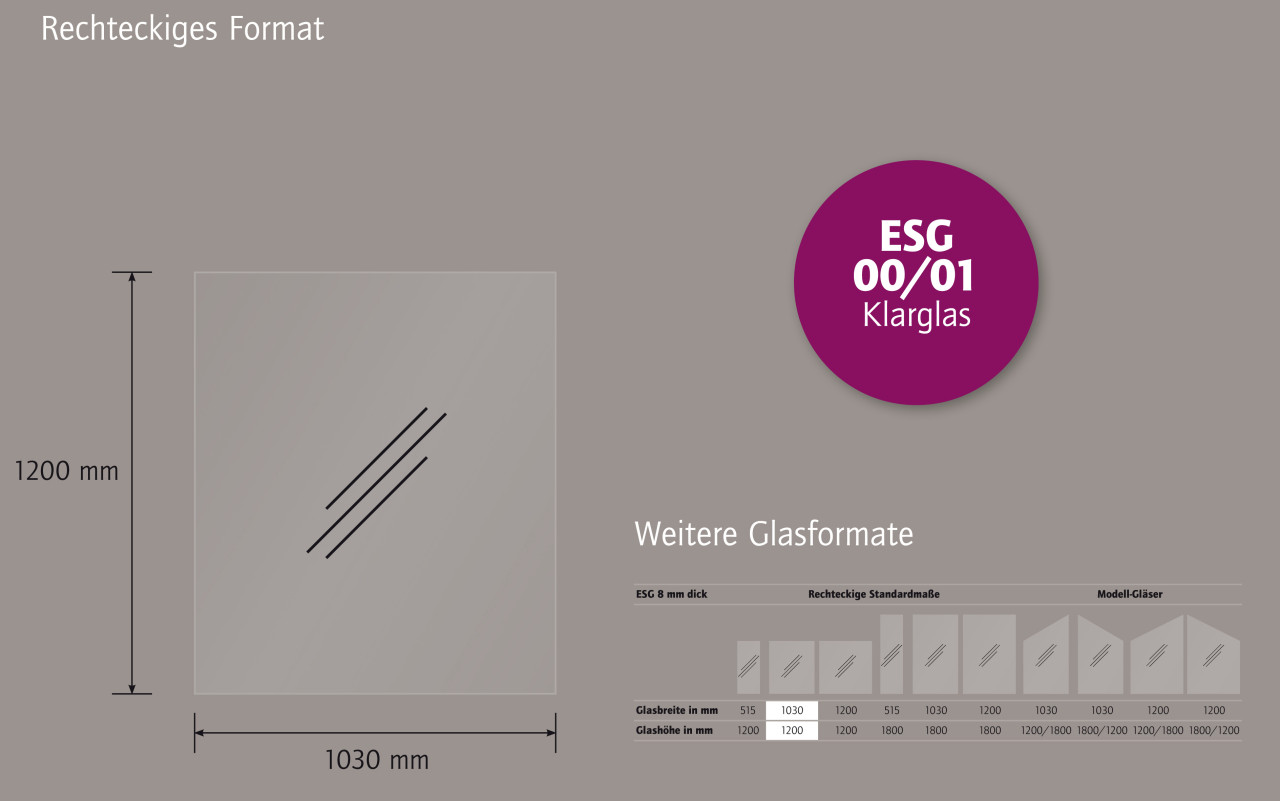 Ambiente Glaszaun Dekor 00/01 103 x 120 cm gehärtetes 8 mm Glas