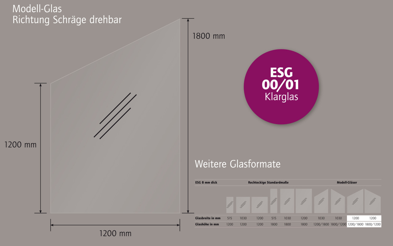 Ambiente Glaszaun Dekor 00/01 schräg 120 x 120/180 cm gehärtetes 8 mm Glas Bild 4
