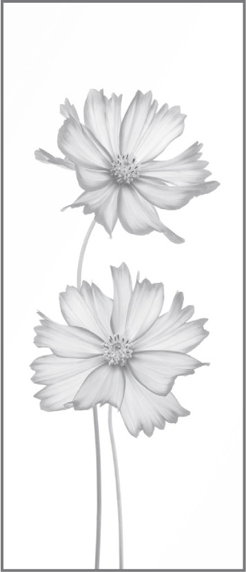 Ambiente Glaszaun Dekor 93 51,5 x 120 cm gehärtetes 8 mm Glas