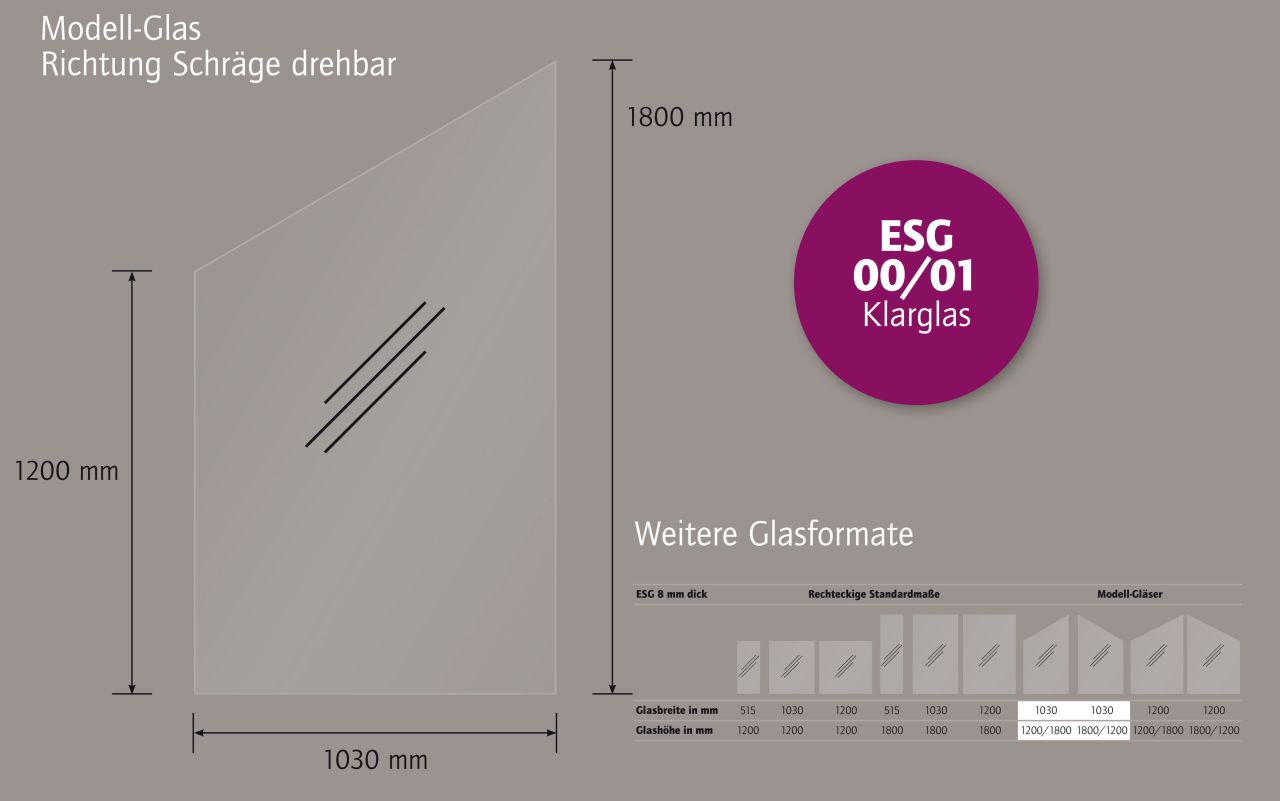 Ambiente Glaszaun Dekor 00/01 schräg 103 x 120/180 cm gehärtetes 8 mm Glas Bild 5