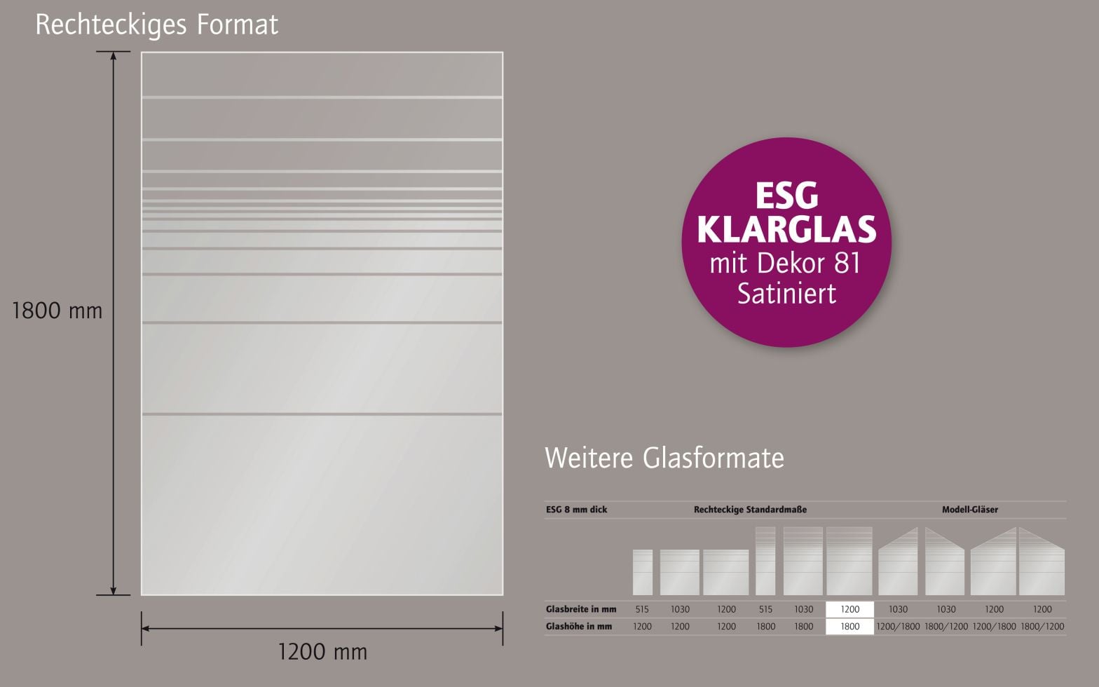 Ambiente Glaszaun Dekor 81 120 x 180 cm gehärtetes 8 mm Glas Bild 3