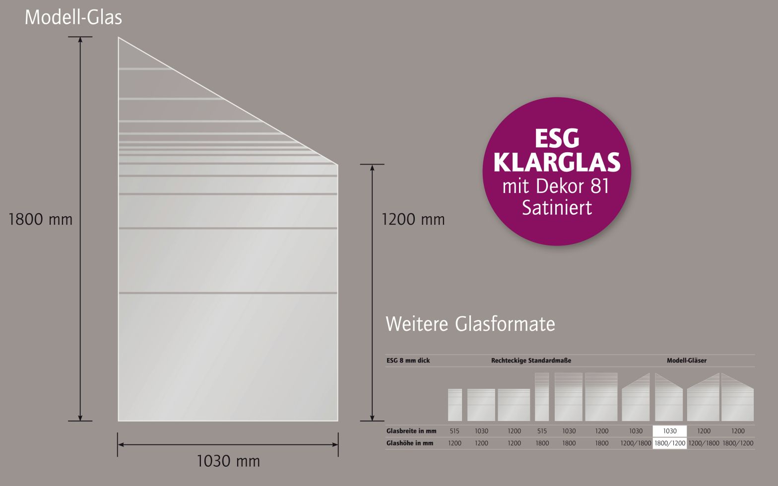 Ambiente Glaszaun Dekor 81 schräg 103 x 180/120 cm gehärtetes 8 mm Glas Bild 5