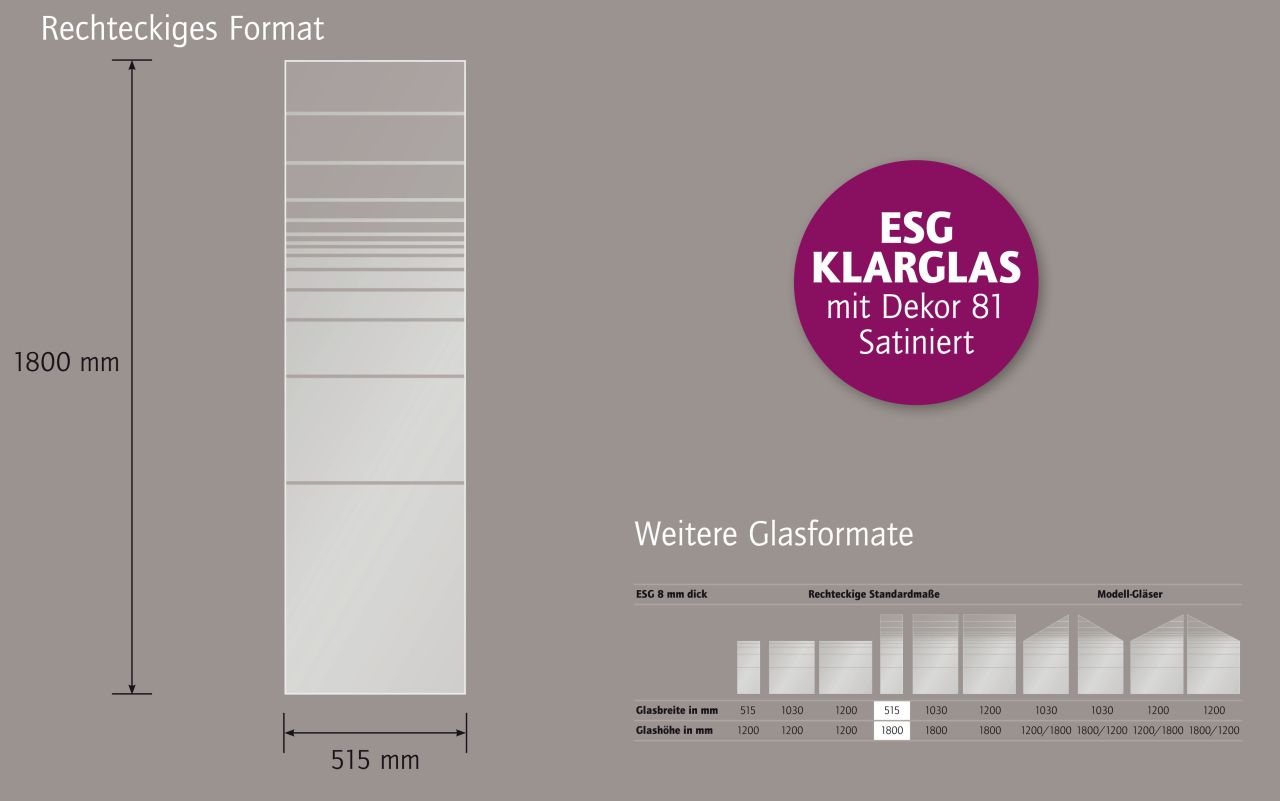 Ambiente Glaszaun Dekor 81 51,5 x 180 cm gehärtetes 8 mm Glas Bild 5