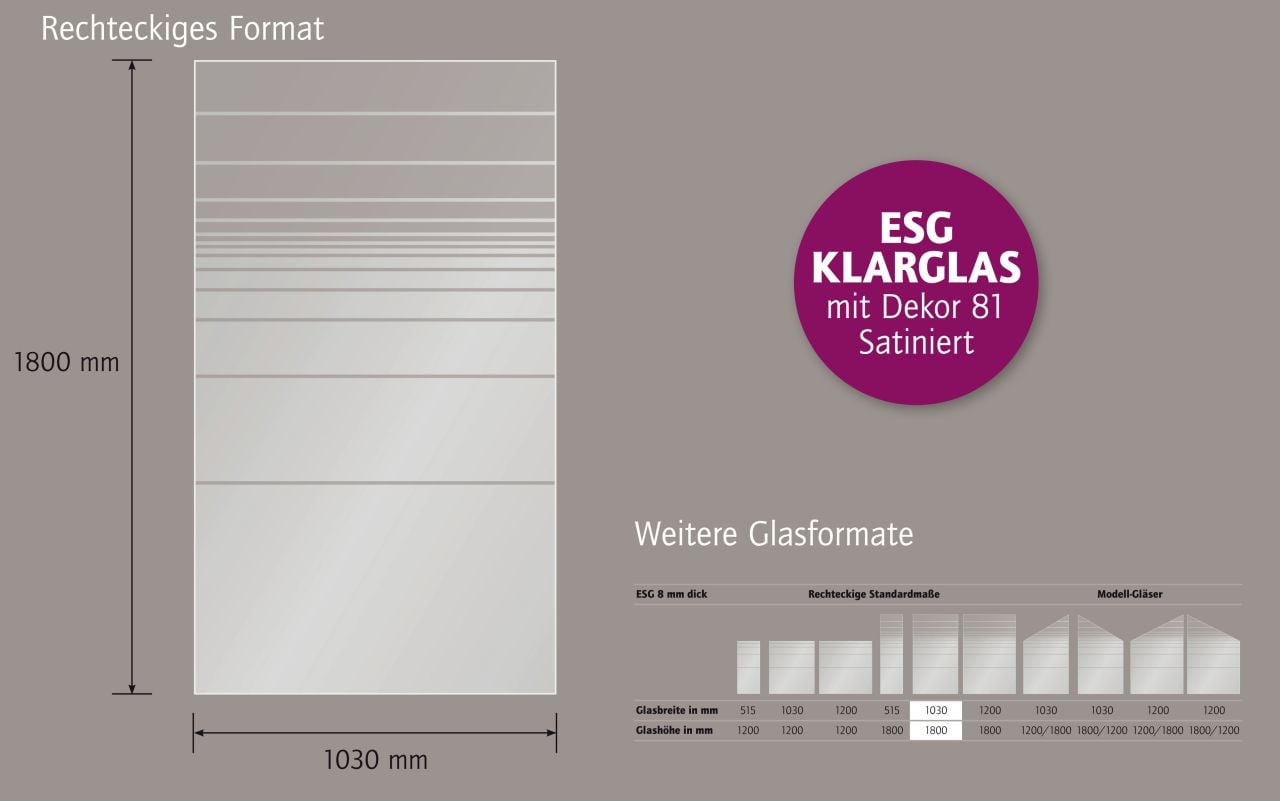 Ambiente Glaszaun Dekor 81 103 x 180 cm gehärtetes 8 mm Glas Bild 3