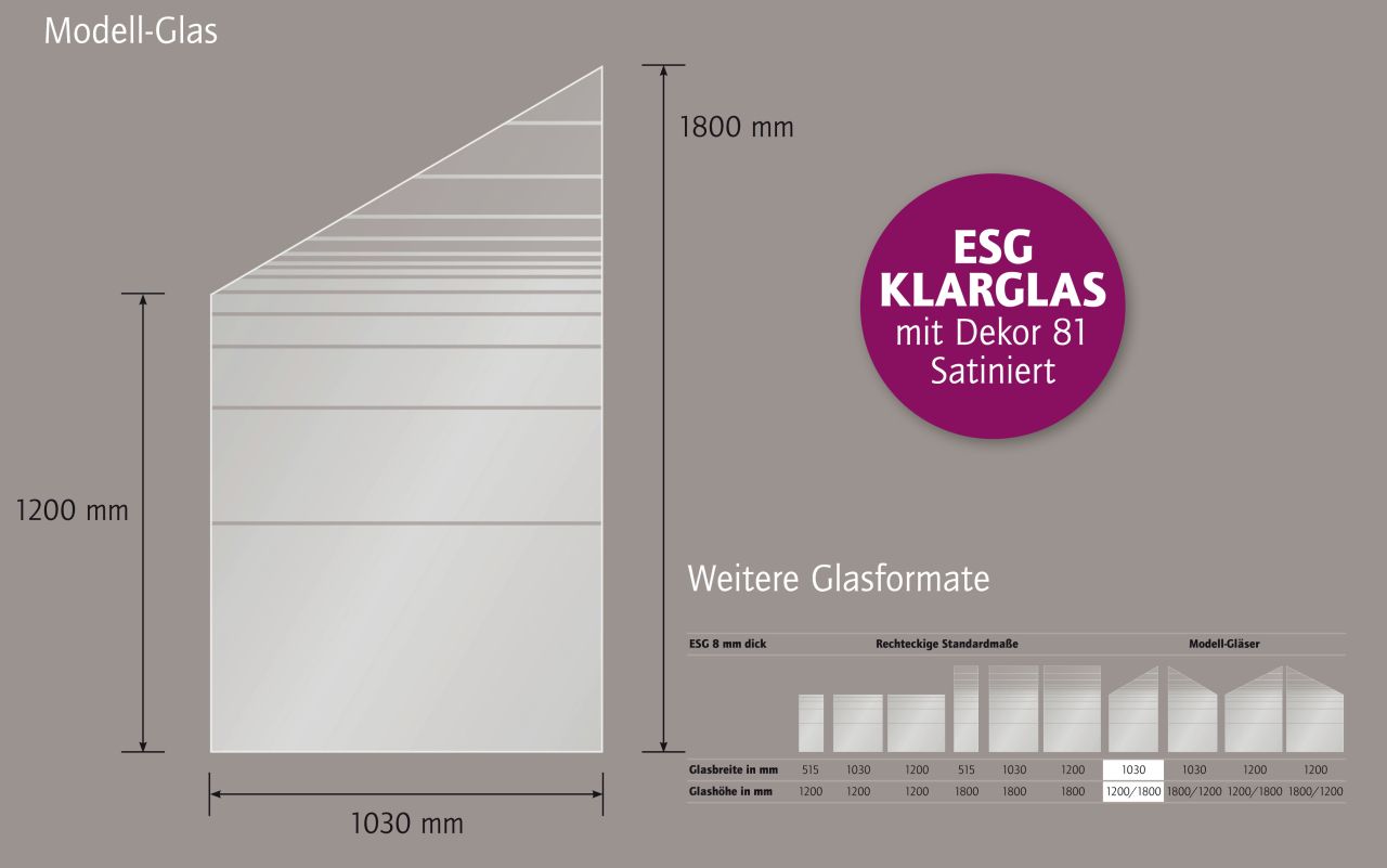 Ambiente Glaszaun Dekor 81 schräg 103 x 120/180 cm gehärtetes 8 mm Glas Bild 3