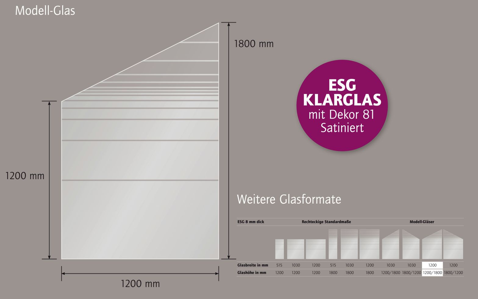 Ambiente Glaszaun Dekor 81 schräg 120 x 120/180 cm gehärtetes 8 mm Glas Bild 2