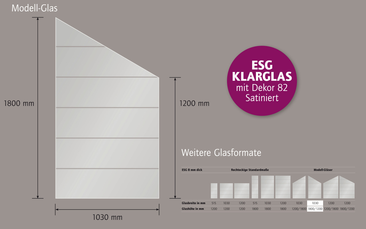 Ambiente Glaszaun Dekor 82 schräg 103 x 180/120 cm gehärtetes 8 mm Glas Bild 3