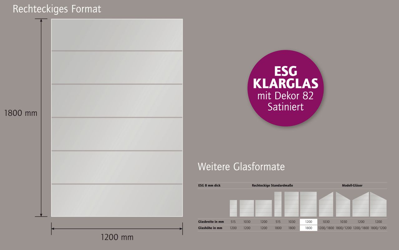 Ambiente Glaszaun Dekor 82 120 x 180 cm gehärtetes 8 mm Glas Bild 5