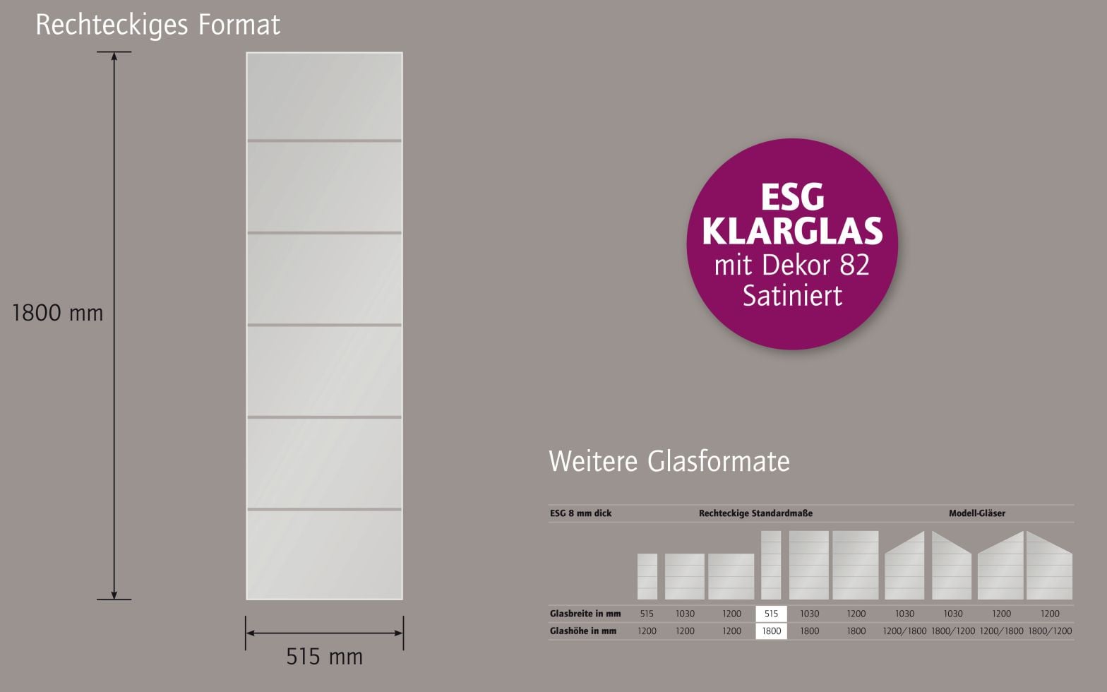 Ambiente Glaszaun Dekor 82 51,5 x 180 cm gehärtetes 8 mm Glas Bild 4