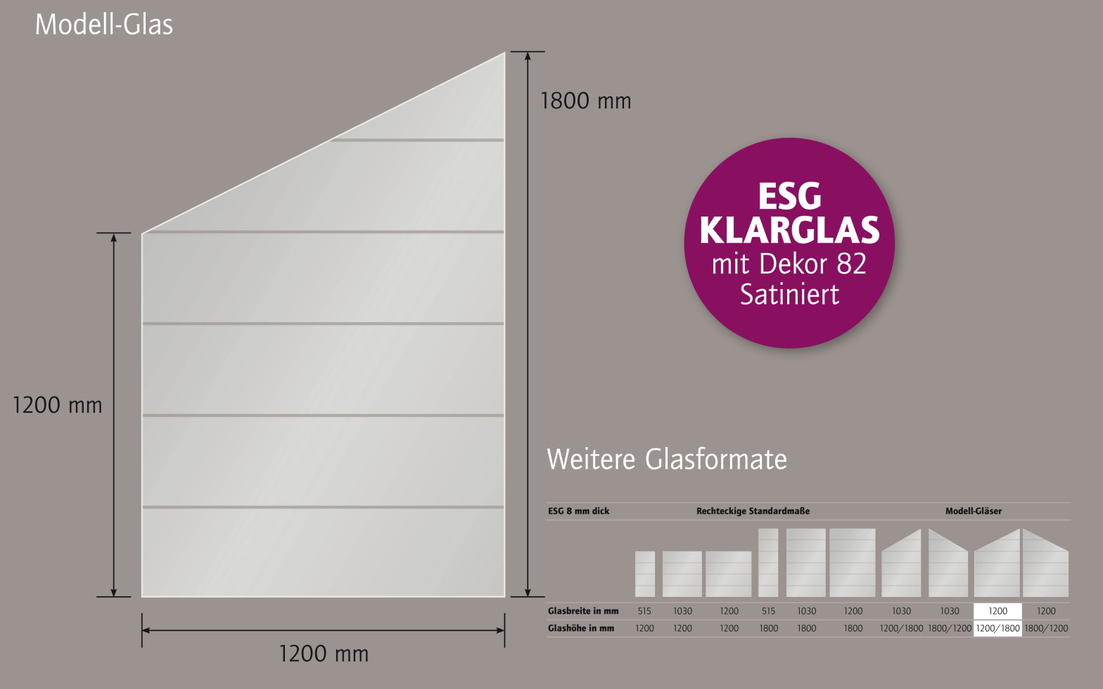 Ambiente Glaszaun Dekor 82 schräg 120 x 120/180 cm gehärtetes 8 mm Glas Bild 4